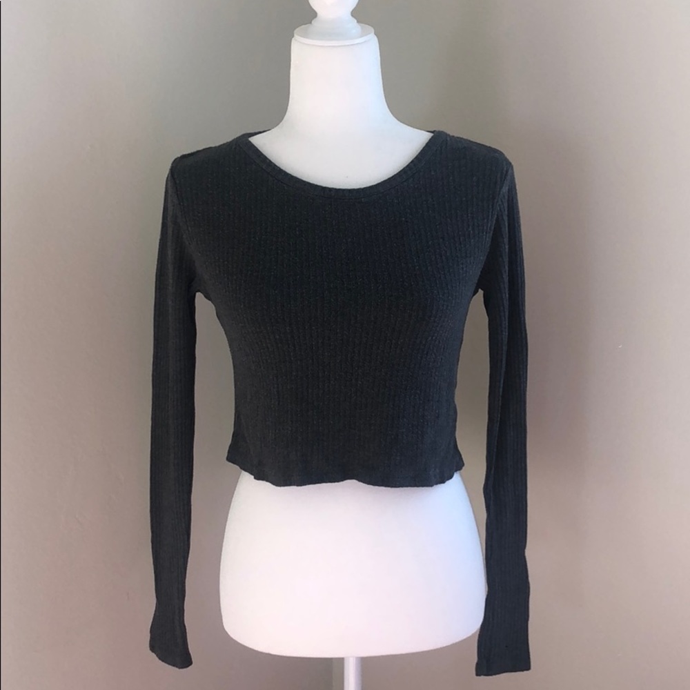 Brandy Melville Long Sleeve Crop Top